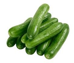 Cucumber  (کھیرا)