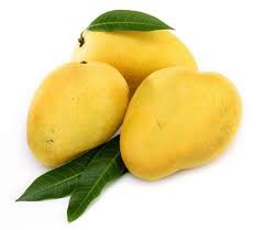 Chaunsa Mango ( چونسہ آم)