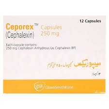 Ceporex 250mg Cap