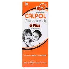 Calpol 6plus 90ml Susp