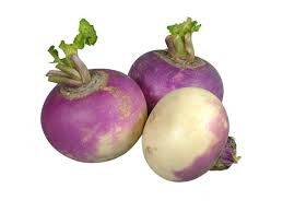 Turnip  (شلجم)