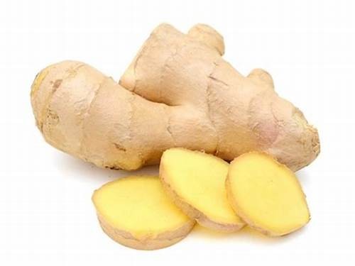 Ginger (ادرک)