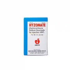 Hyzonate Inj 100mg