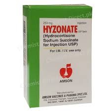 Hyzonate Inj 250mg