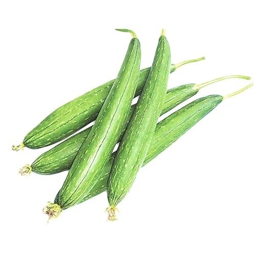 Smooth Luffa  ( گھیا توری)